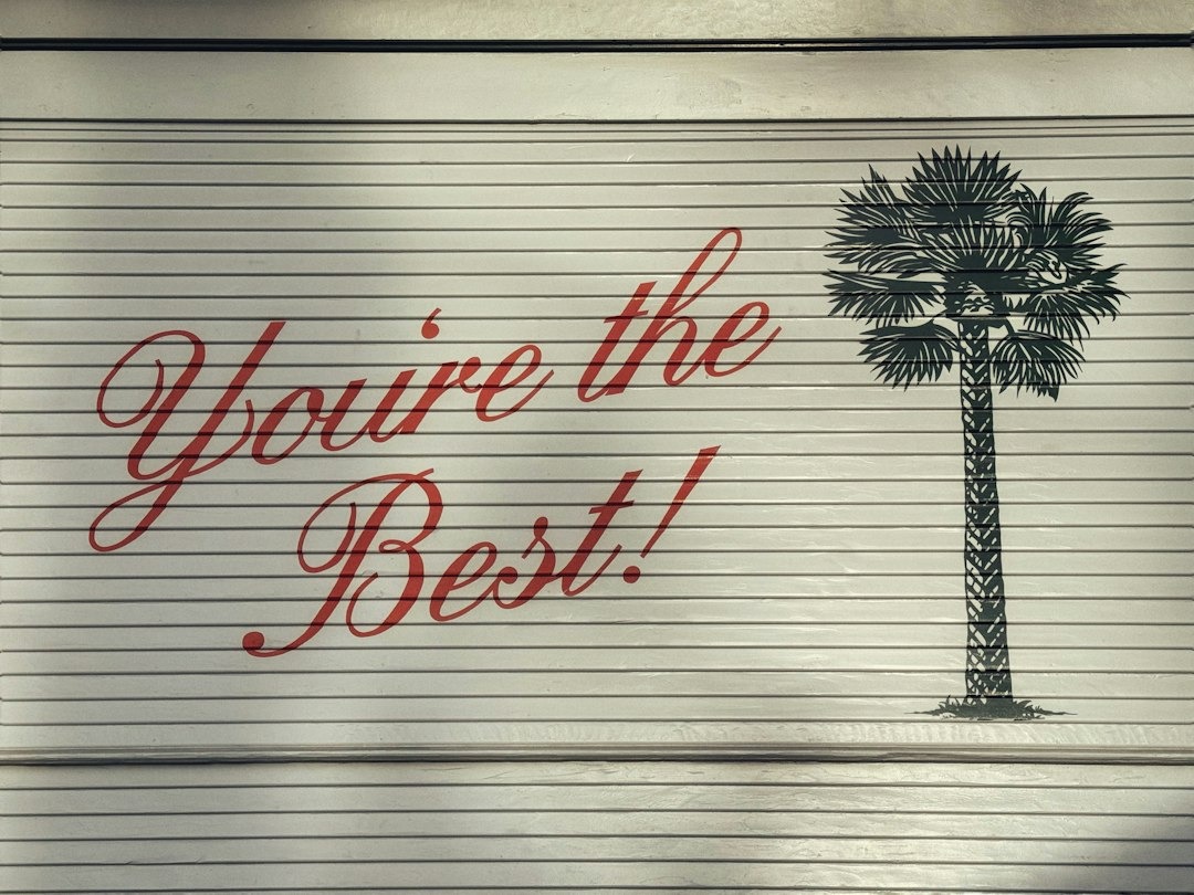 Decorative wall mural: red script text 'You're the Best!' with a palm tree illustration on a light, ribbed metal background (garage/rolling door).